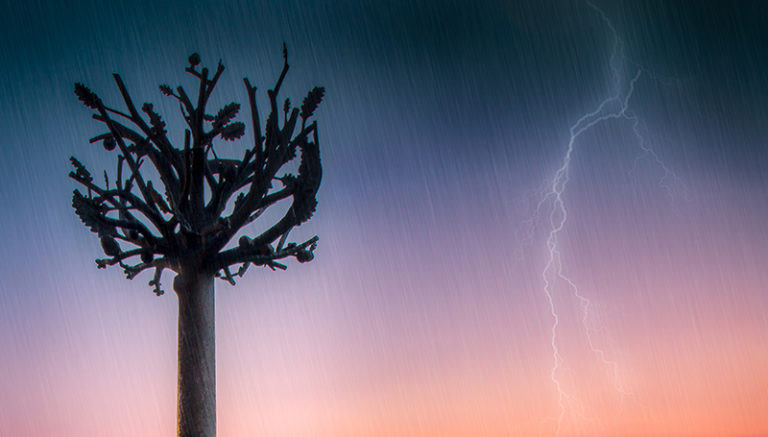 Does Wood Conduct Electricity
