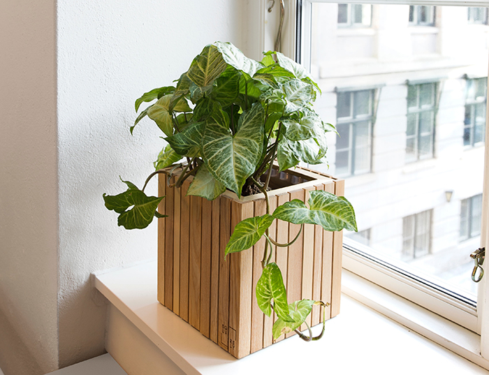 wooden-cubic-planter