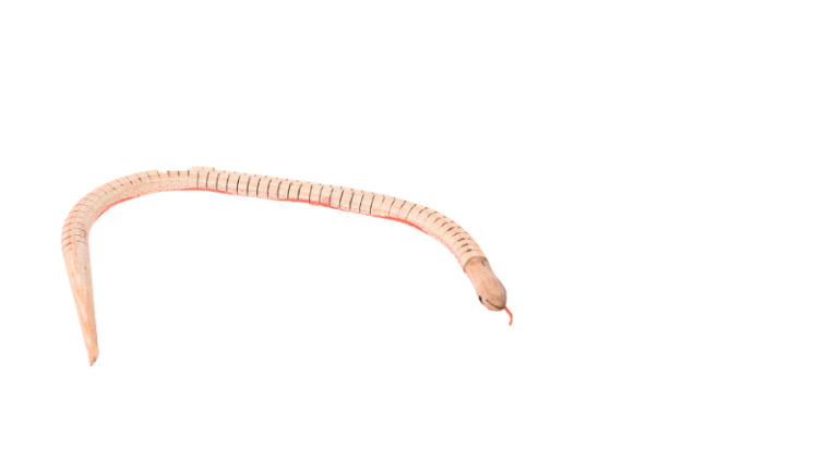 snake toys that move